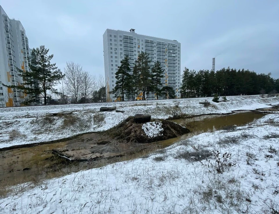 Фото с сайта Центрально-Черноземного межрегионального управления Росприроднадзора