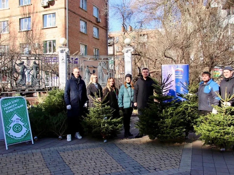 В Ростове прошла экологическая акция «Сдай елку – помоги животным», организованная под эгидой партийного проекта «Единой России» «Чистая страна». Фото: МО «Единая Россия»