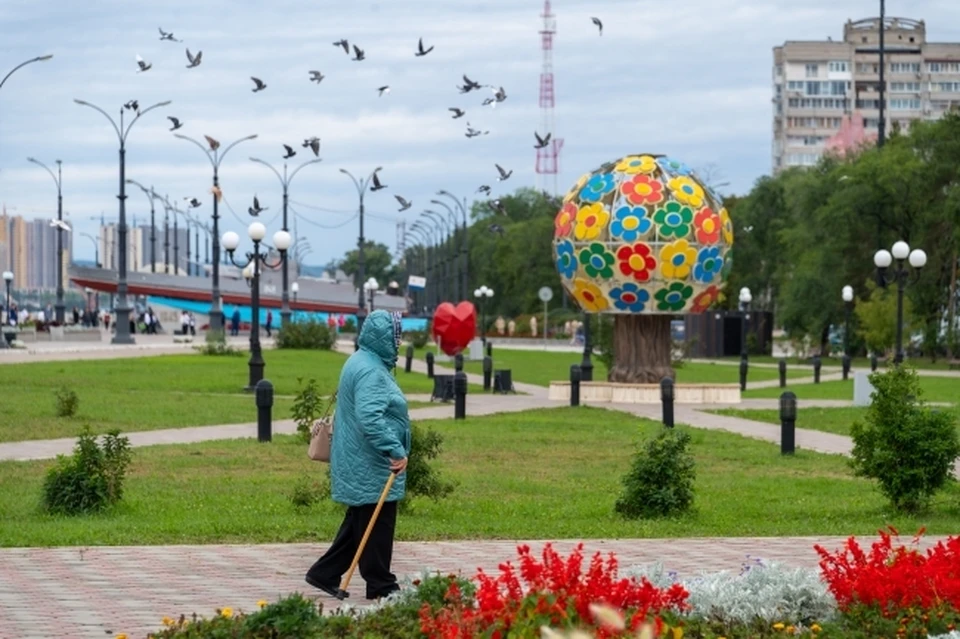 Ростовчанам рассказали, как увеличить пенсионные баллы