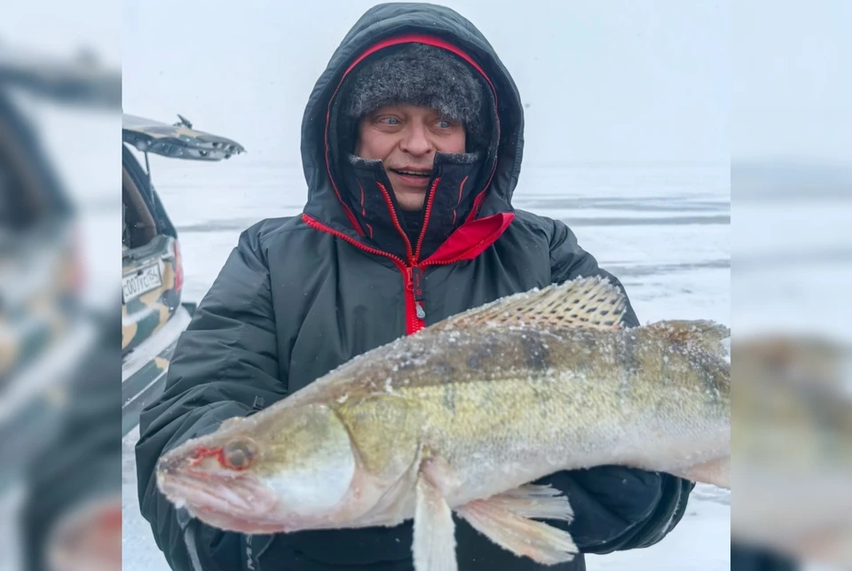 Анатолий Кот наловил судаков в Обском море под Новосибирском. Фото: Рыбалка в Новосибирске