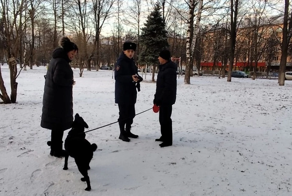 В Ярославле проверили, как жители города соблюдают правила выгула собак. ФОТО: страница Любови Сергеевой ВКонтакте