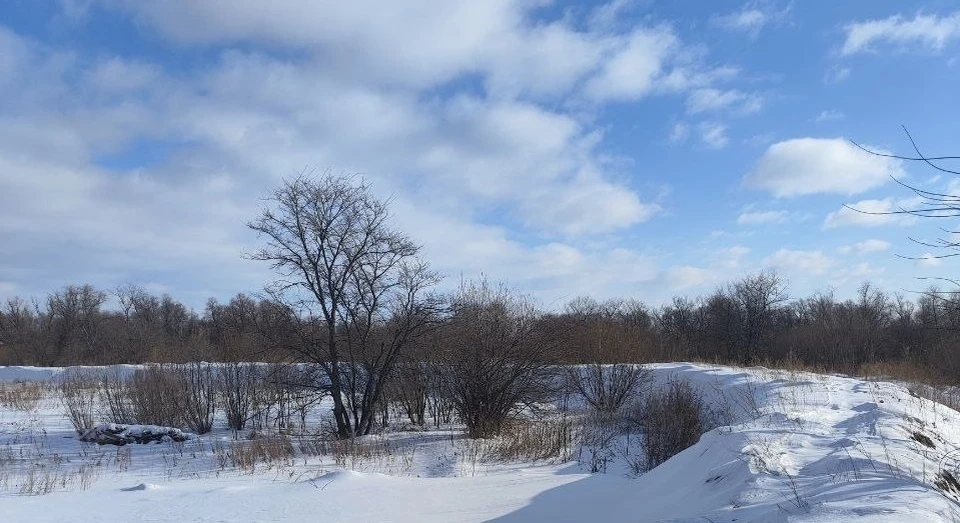 Фото: Федор Шишкин, ВК.