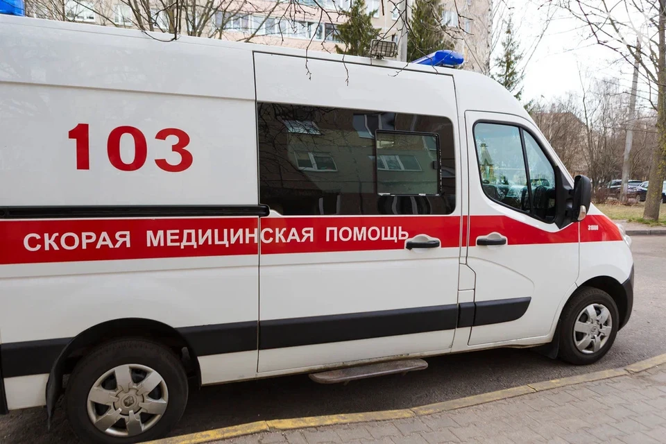 СК сообщил, что осина придавила насмерть вальщика леса в Верхнеслободском лесничестве. Снимок носит иллюстративный характер.