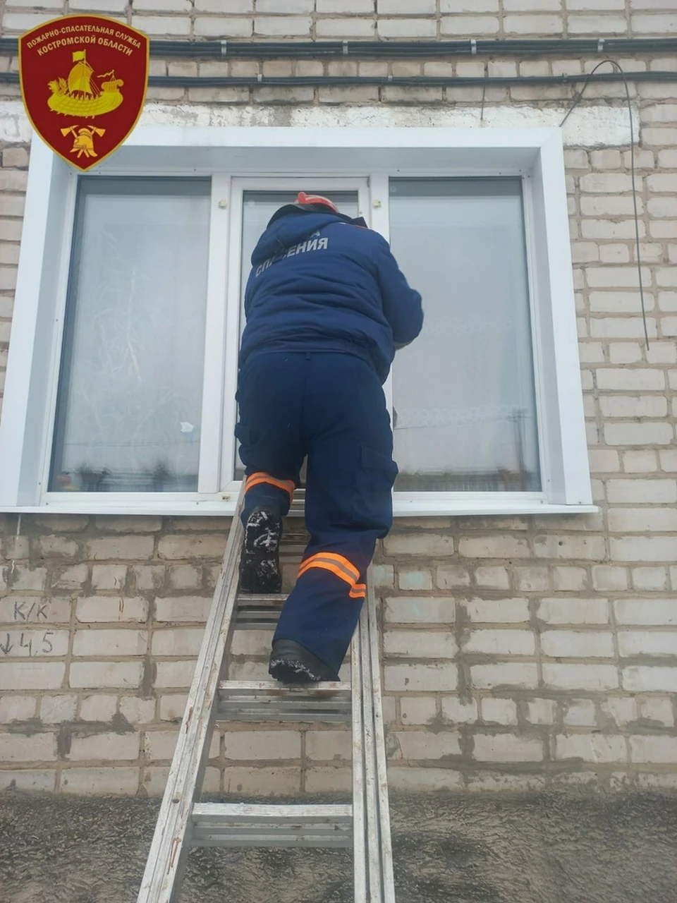 Фото: ОГБУ "ПСС"