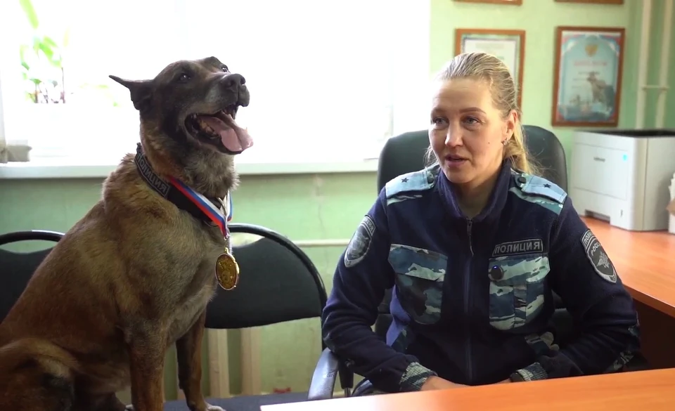 Тайфун и его напарница. Фото: пресс-служба ГУ МВД России по Челябинской области