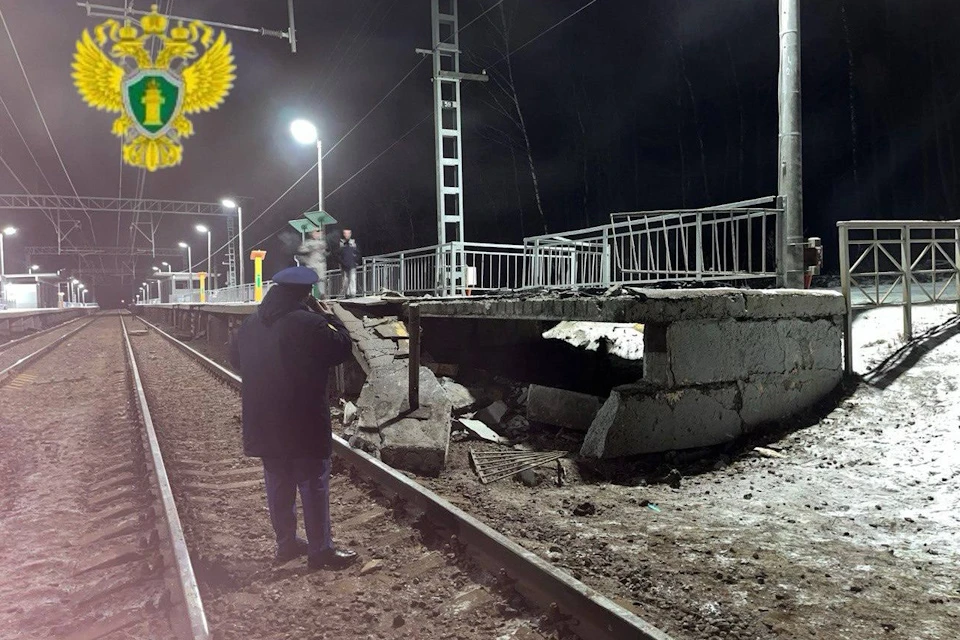 Фото: Официальный телеграм-канал Московской межрегиональной транспортной прокуратуры