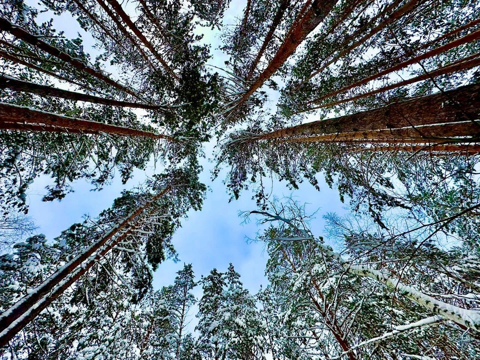 Традиционно, зима с весной встречается 15 февраля. Фото: Ирина Латыпова
