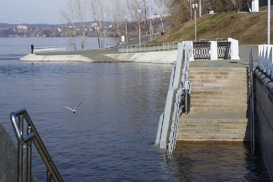 Максимальные уровни воды в реках ожидаются в пределах и на 25-150 см ниже нормы.