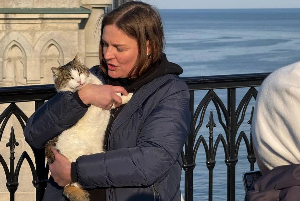 Кошка жива и здорова, она на руках у волонтеров. Фото: Янина Павленко/tg