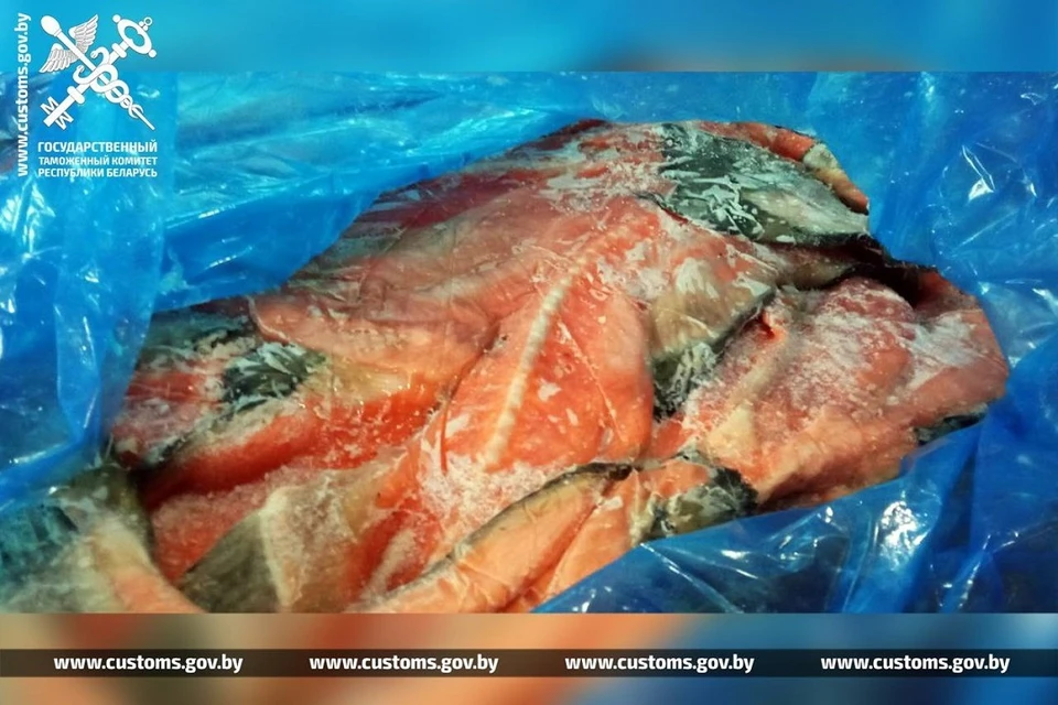 Около 10 тонн рыбной продукции пытались вывезти из Беларуси в Россию. Фото: ГТК.