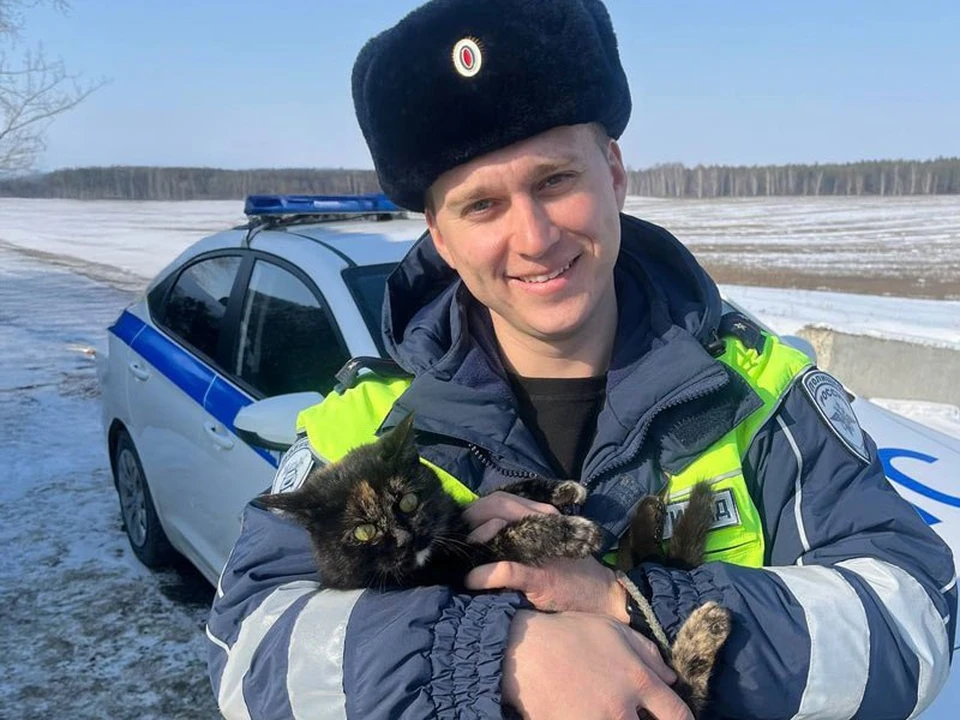 В первый день весны полицейские поделились милыми фото с котиками. фото: УМВД России по Белгородской области