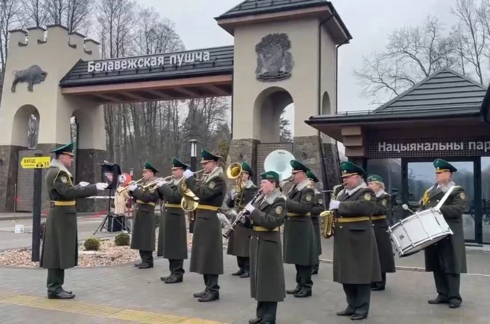 В Национальном парке «Беловежская пуща» открыли обновленную входную группу. Фото: кадр видео телеграм-канала "1 регион".