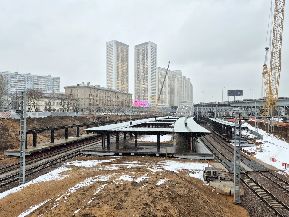 Фото: Денис Воронин / Агентство «Москва»