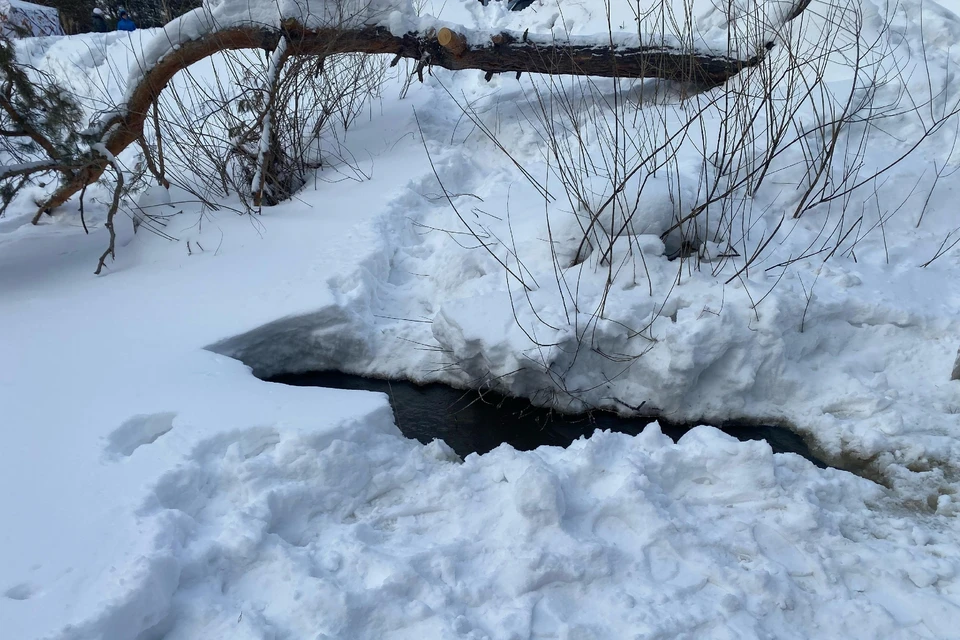 Место, где произошла трагедия