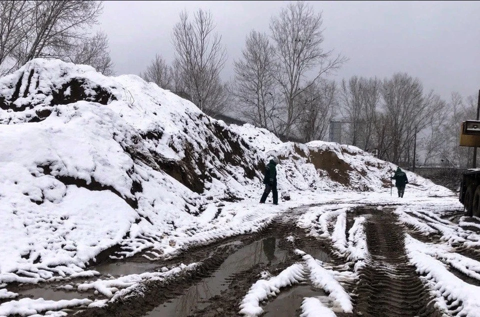 Фото: Управление Росприроднадзора по Нижегородской области и Республике Мордовия.