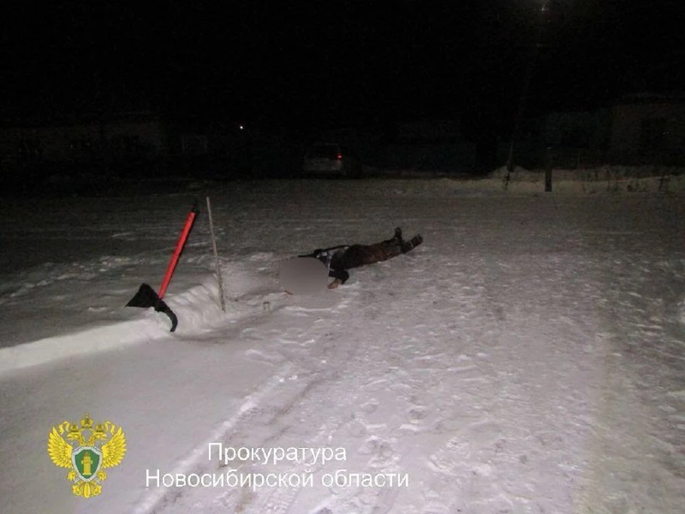 Под Новосибирском 39-летнего мужчину осудят за убийство из ревности за лайки. Фото: прокуратура Новосибирской области