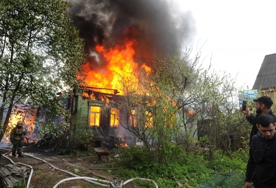 Кроликов спасли из пожара в Хабаровске