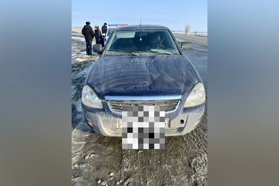 Фото: Госавтоинспекция Челябинской области