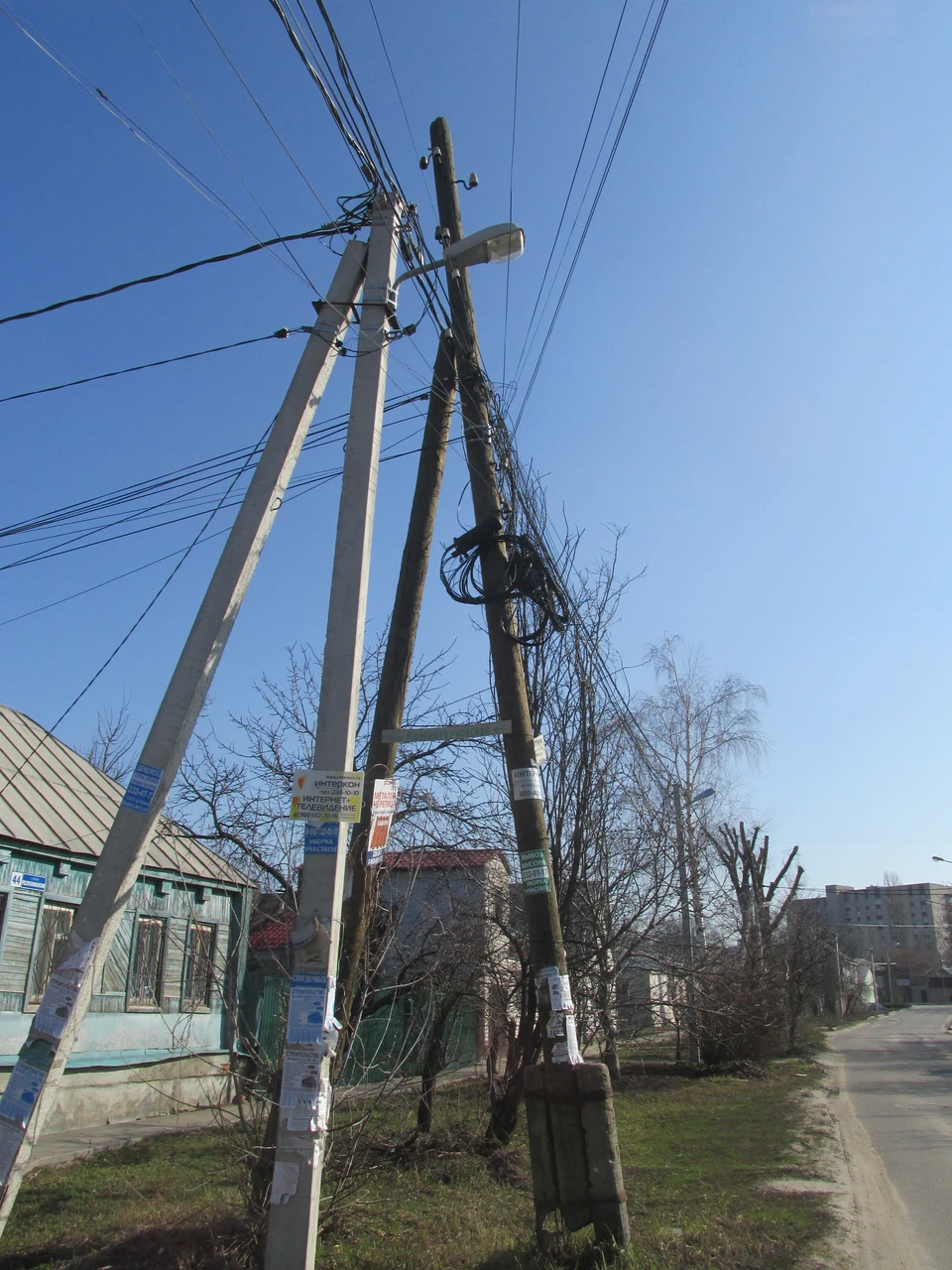 Фото Елены Федяшевой