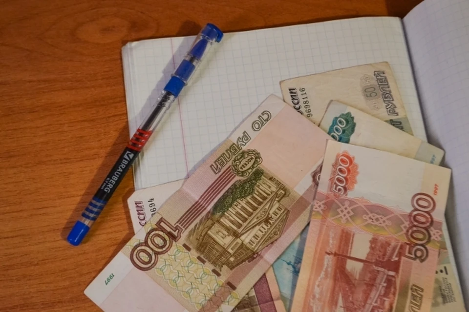 Жительница Хабаровска обманом получила выплаты и купила земельный участок