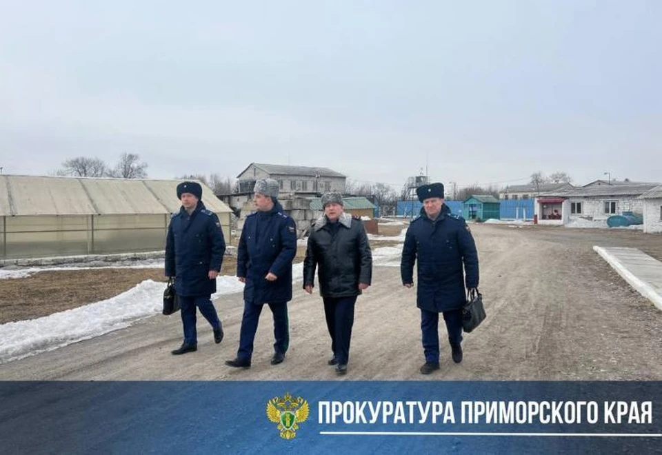 Все недочеты должны быть устранены. Фото: прокуратура Приморского края