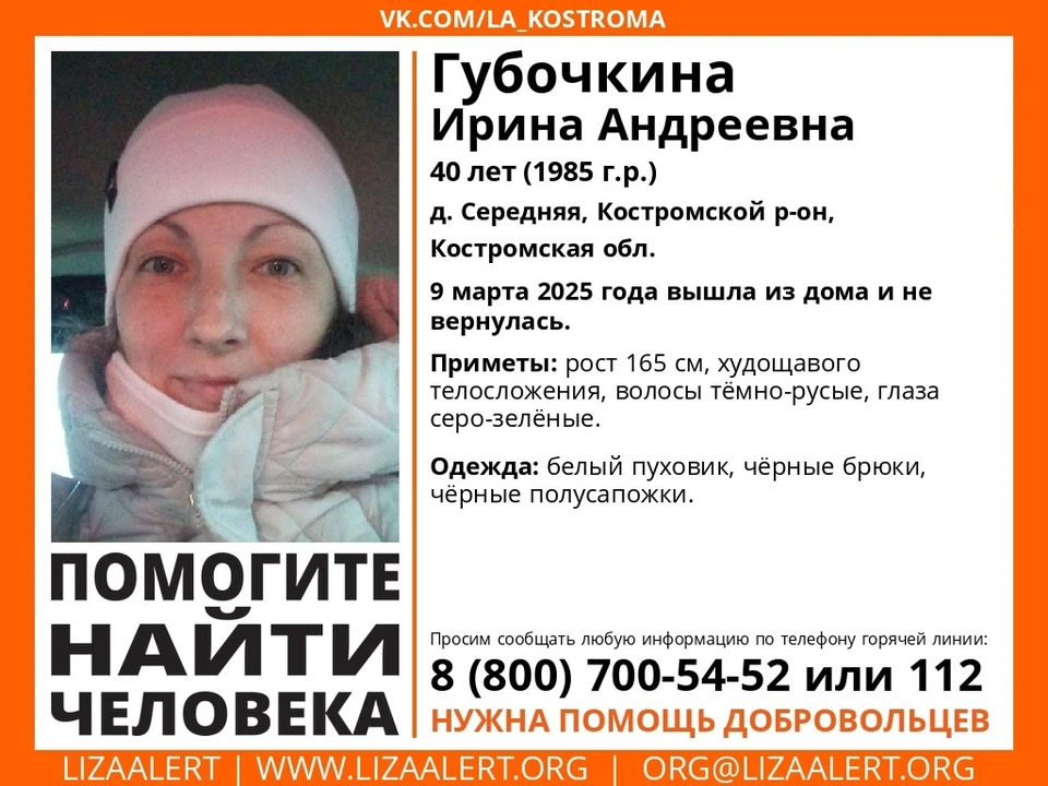 Фото: ДПСО "Лиза Алерт" Костромской области