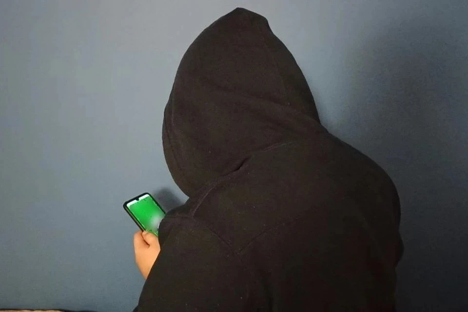 Мошенники сыграли на любви девочки к играм...