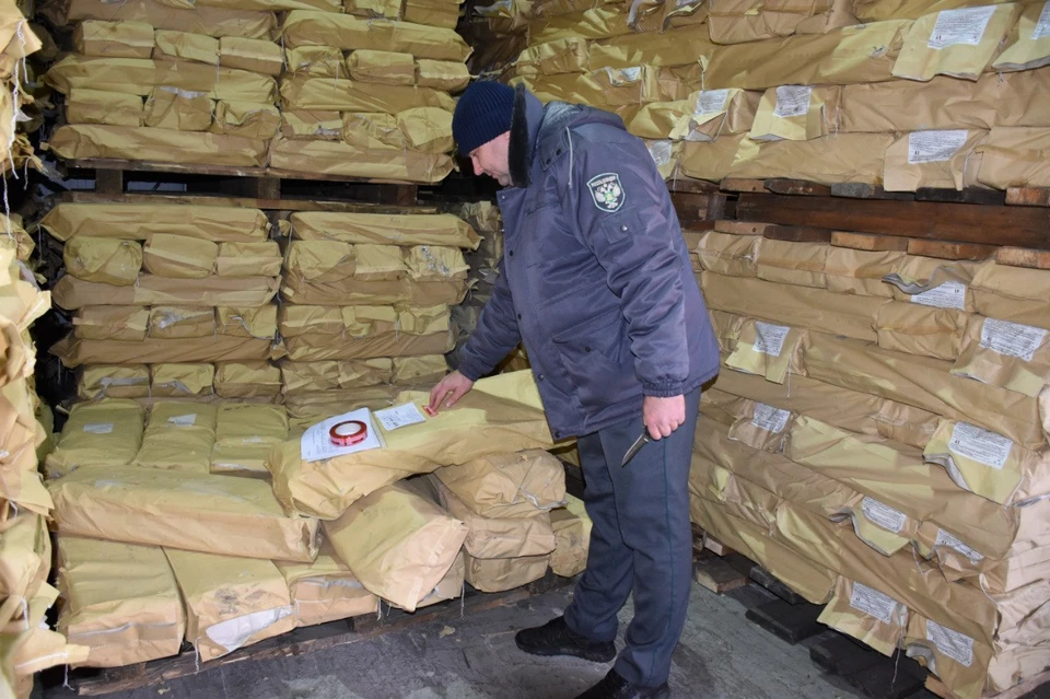 Должностные лица отобрали 349 проб от подконтрольной продукции. Фото: Россельхознадзор Приморья