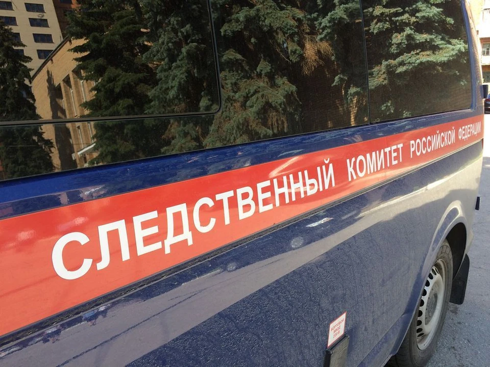 В Туле следователи выясняют обстоятельства падения женщины с ребенком из автобуса.