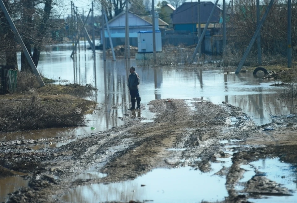 174 дома в Новосибирске может затопить во время паводка в 2025 году.