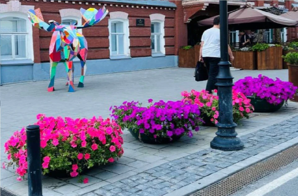 Улицу Федерации в Ульяновске украсят 39 вазонов с цветами и растениями. ФОТО: тг-канал администрации Ульяновска