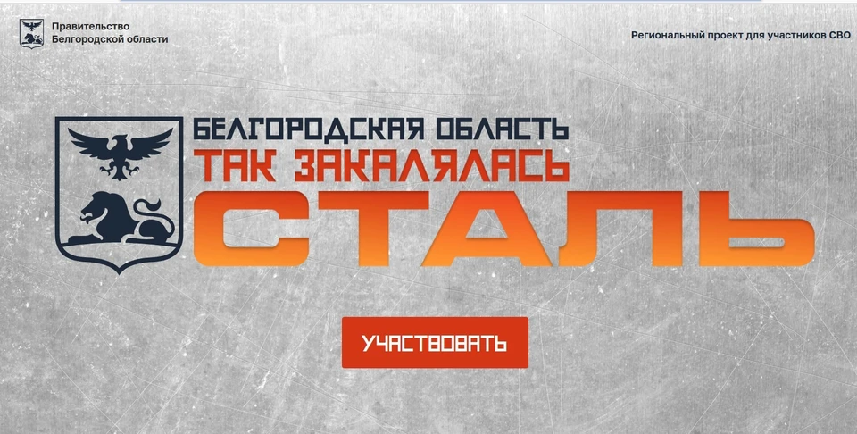 В Белгородской области 234 ветерана СВО подали заявки на участие в кадровом конкурсе
