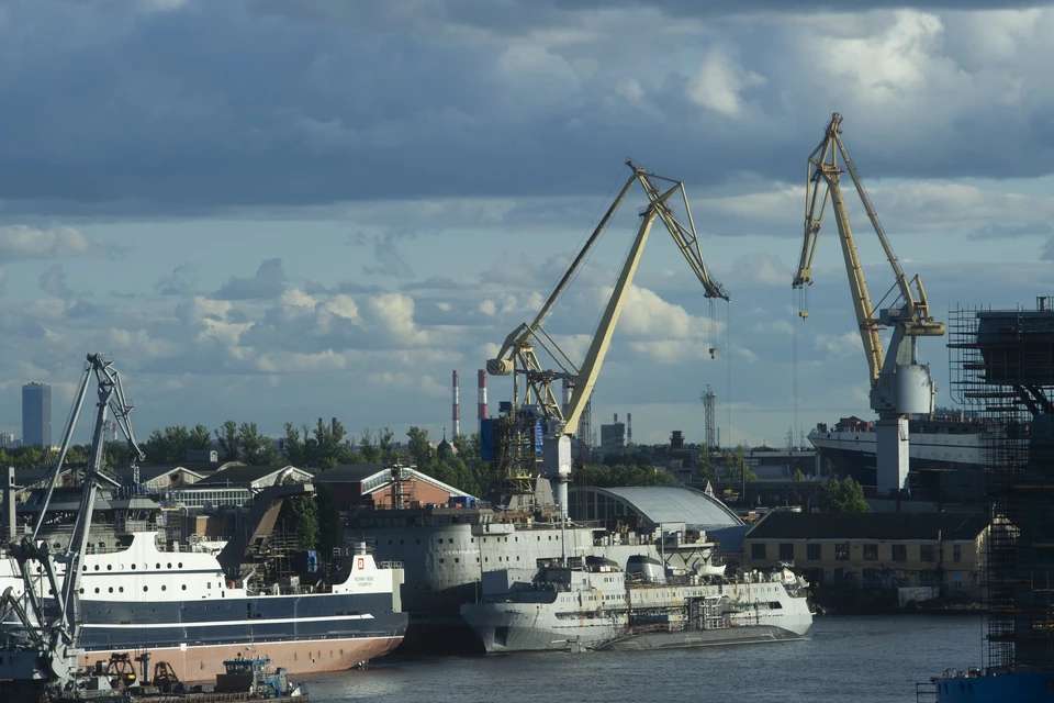 В крупной партии креветок из Аргентины нашли опасных паразитов.