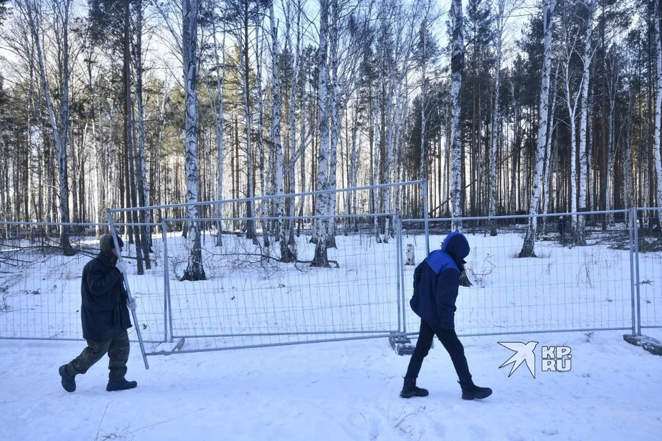 Березовую рощу сохранят, план застройки изменят