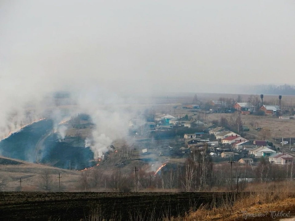 В Тульской области с начала года зарегистрировано 82 случая возгорания сухой травы. Фото: "Тула Жесть".