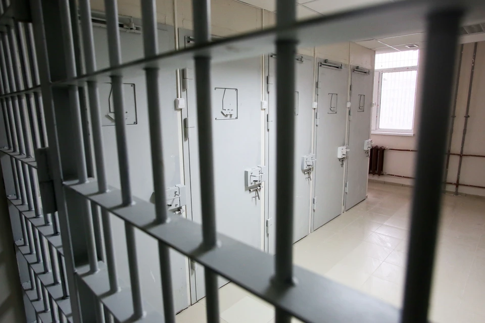 Мужчина проведет в СИЗО два месяца за пьяную поножовщину в Сестрорецке.