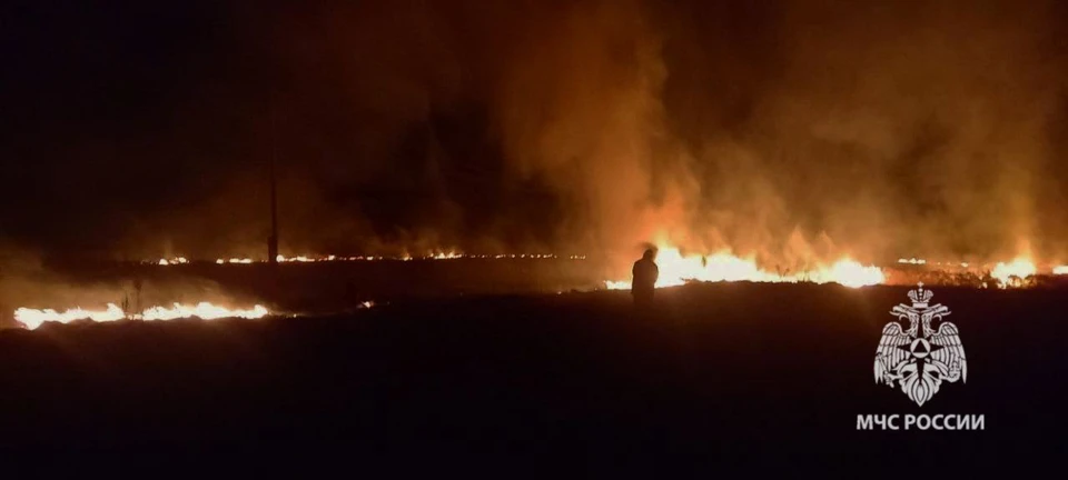 В селе Богородицком Добровского округа огонь полыхал на площади в 1 гектар.