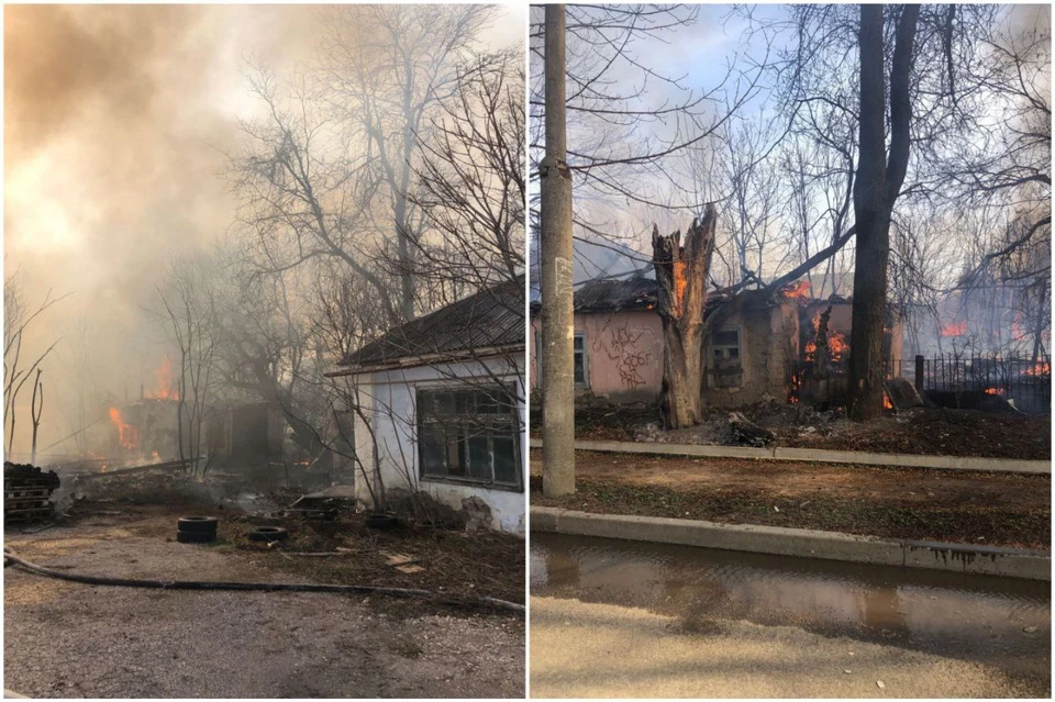 Фото: Владимир Крутников