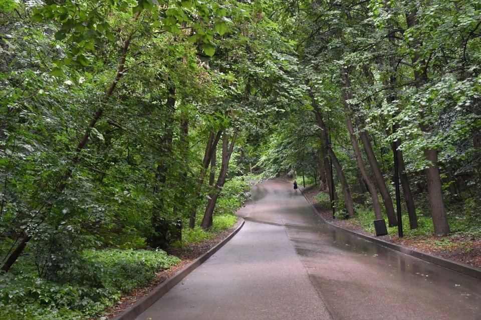 Компания «НовосибСтройПроект» выиграла тендер на проведение работ, которые завершатся к осени 2025 года