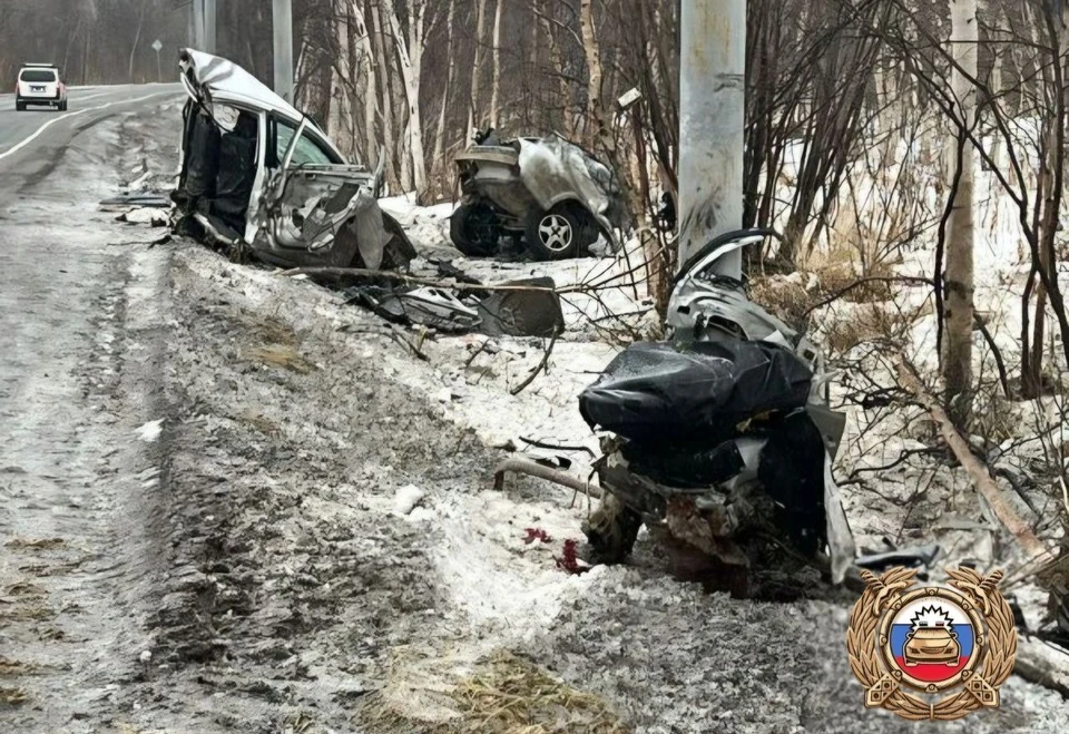 Части автомобиля разбросаны по обочине дороги. Фото: Госавтоинспекция Камчатского края.