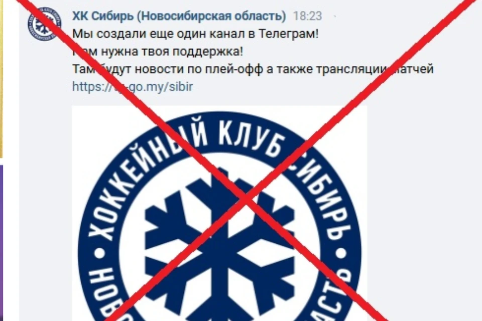 Хоккейный клуб предупредил фанатов не верить этому сообщению. Фото: Официальная группа «ХК Сибирь» «ВКонтакте».