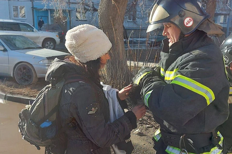 Лохматого передали в руки хозяйке