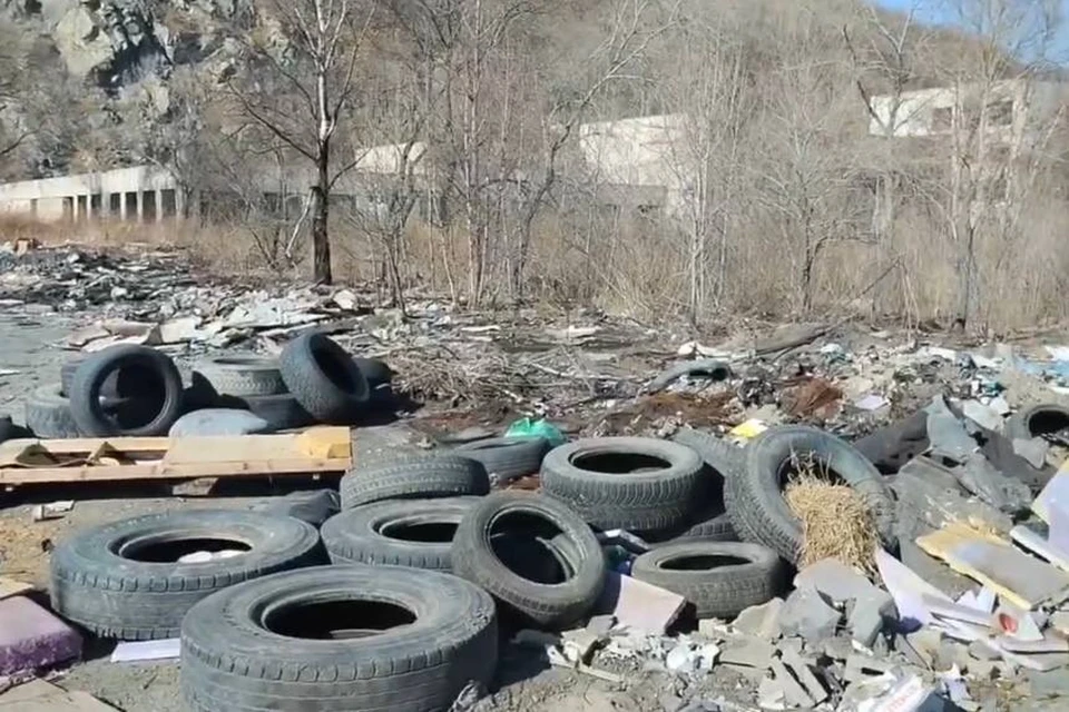 На несанкционированной свалке в Находке были найдены останки кошек и лошадей. Фото: принтскрин видео «Красивая Находка».