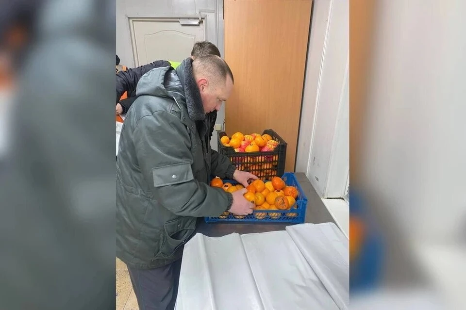 Цитрусовые доставили из Турции и Египта Фото: Южное межрегиональное управление Россельхознадзора