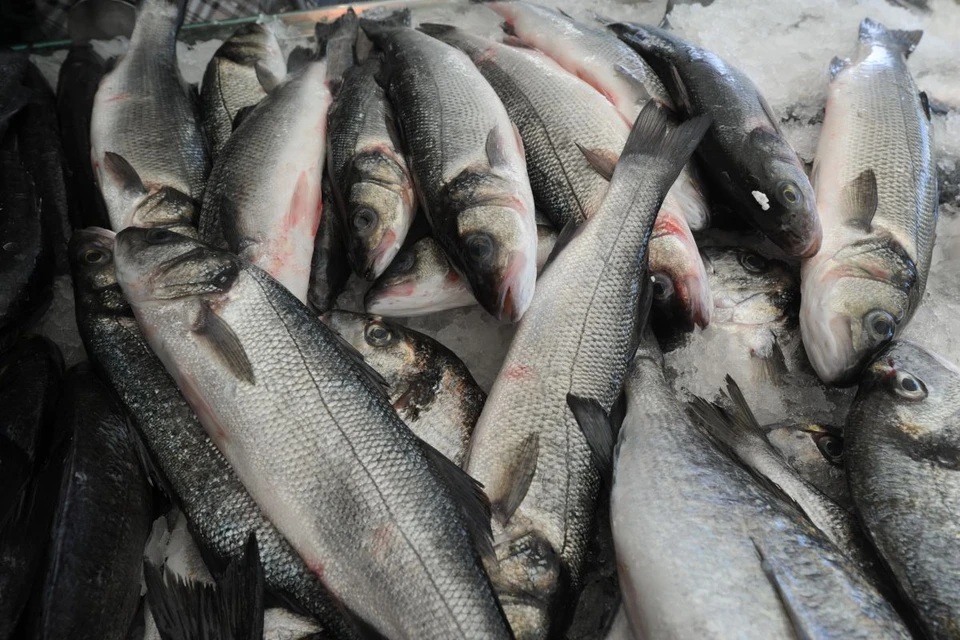 Информация о запрете на вылов и реализацию морепродуктов и рыбы является фейком.