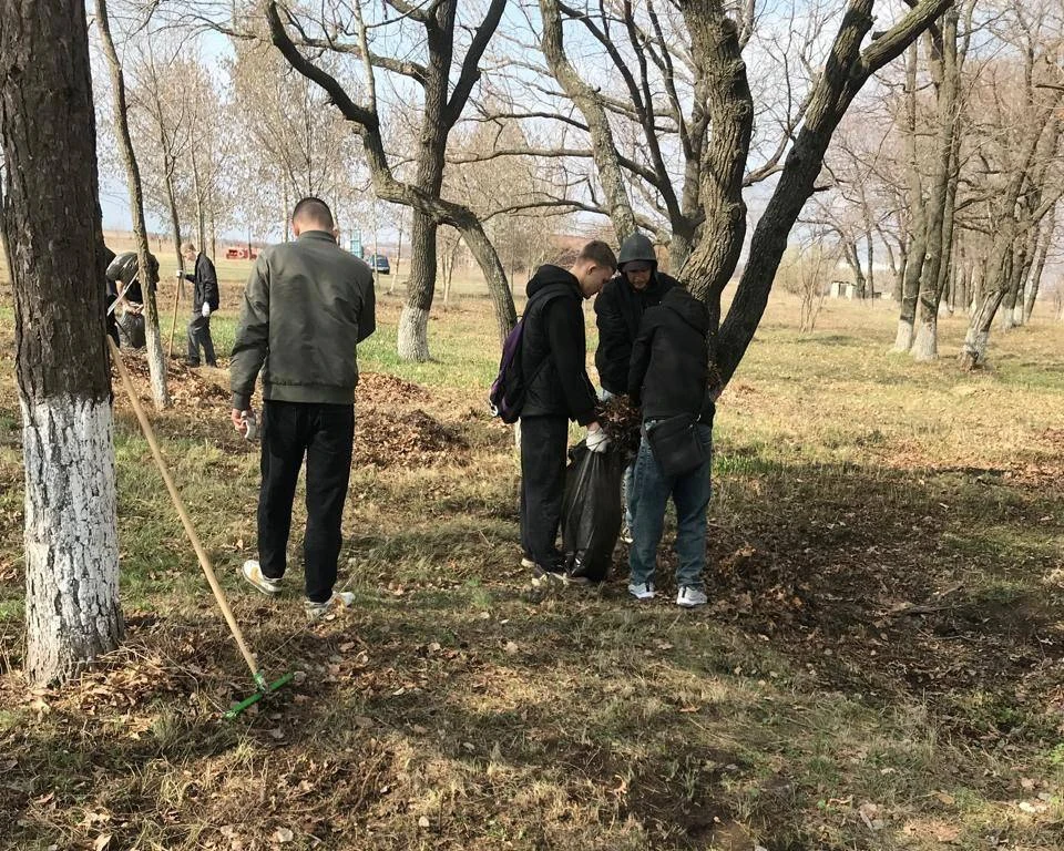 Фото: СГТУ