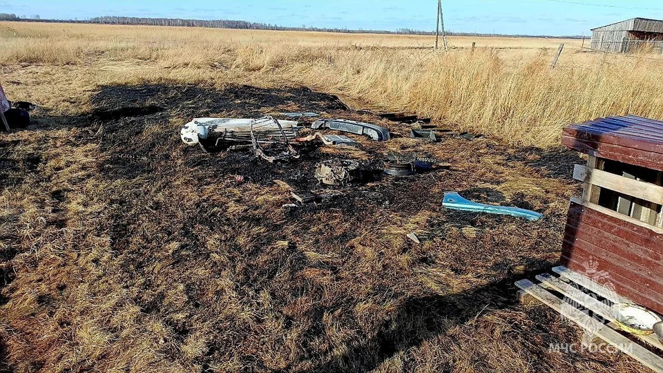 В Тюменской области из-за подростка с электроинструментом загорелась сухая трава