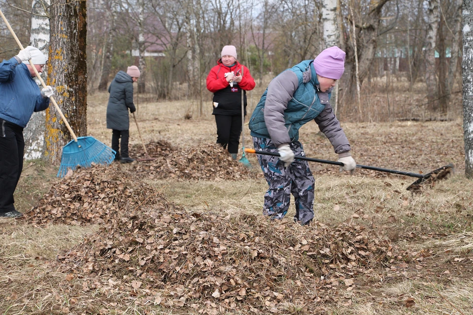 В Тверской области проходят субботники. Фото: правительство Тверской области