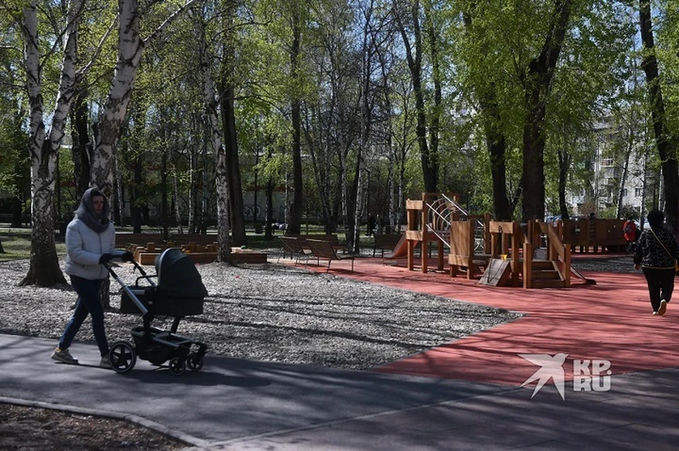 Задачей кураторов станет сбор всех предложений от горожан