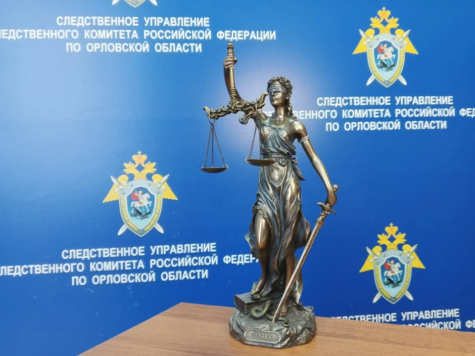 Фото: пресс-служба СУ СК России по Орловской области